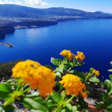Apartament Bella Vista House-Sorrento Coast - Free Parking-Solarium Vico Equense Zewnętrze zdjęcie